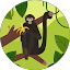 Sean McCloskey Avatar