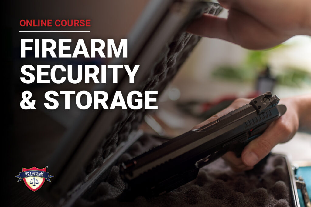 Firearm Security Storage 2
