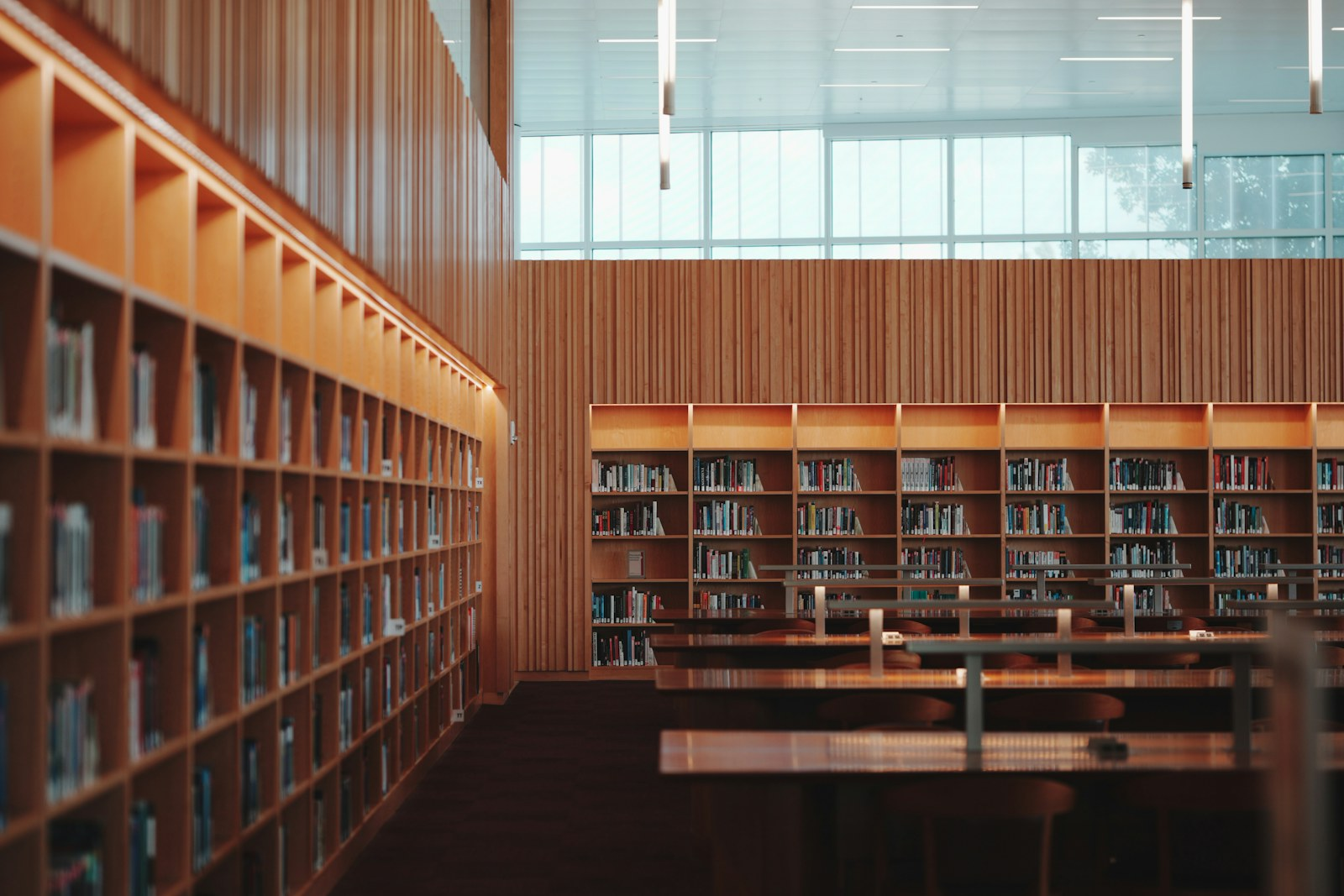 Warm wooden bookshelves and study tables in a library reading room